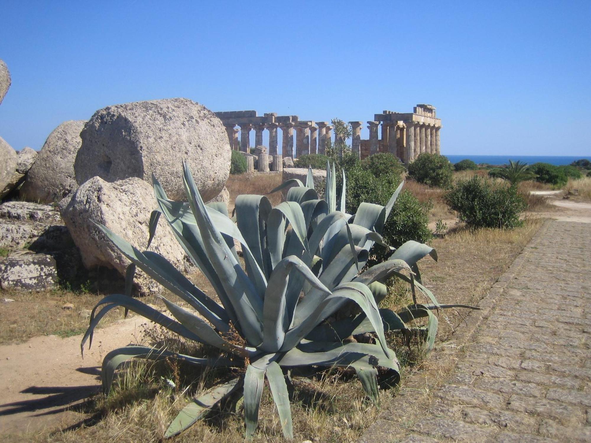 Hotel Alceste Marinella di Selinunte Esterno foto